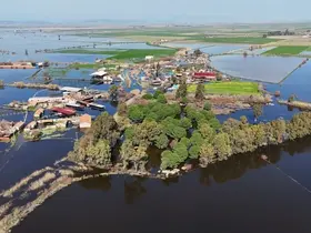 Kalcık Mahallesi, Venedik’e döndü

