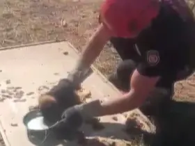 Kanala düşen yavru köpek kurtarıldı
