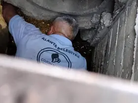 Kanalizasyona düşen kedi belediye ekiplerince kurtarıldı
