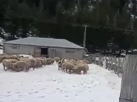 Kar kalınlığı 1 metreye ulaştı, mahsur kalan vatandaş kurtarıldı
