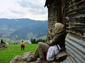 Kar kütlelerinden bahar çiçeklerine yürüdüler

