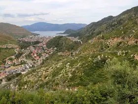 Kara tablo 5 yılda yeşile döndü
