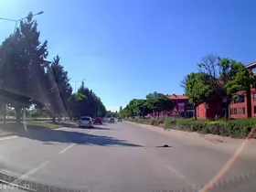 Kara yolunda mahsur kalan kaplumbağasına yardım eli
