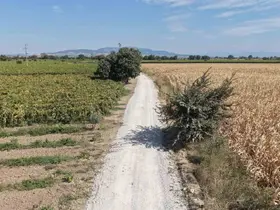 Karaağaçlı Mahallesi’nden Şehzadeler Belediyesi’ne hizmet teşekkürü

