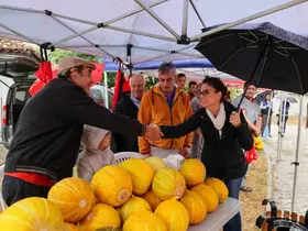 Karabağlar yaylasının en güzel kavunları seçildi
