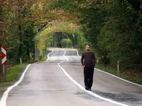 Karabük ormanlarında renk cümbüşü
