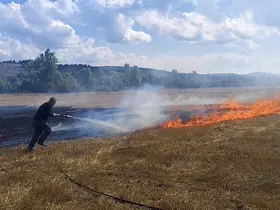 Karabük’te anız yangını büyümeden söndürüldü
