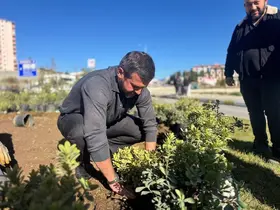 Karabük’te yeşil alanlar 18 binden fazla fidanla güçleniyor
