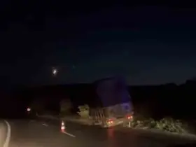 Karacabey’de kamyonet ağaçlara çarptı
