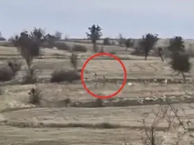 Karacaların hızını gören vatandaşlar hayrete düştü
