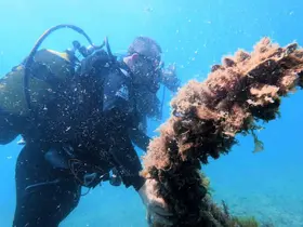 Karadeniz kıyılarındaki ilk su altı kazısında 2 bin 500 yıllık tarihe daldılar
