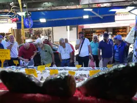 Karadeniz’de palamut patlaması: Tanesi 80 TL
