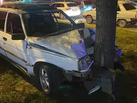 Karaman’da otomobil ağaca çarptı: 1 yaralı
