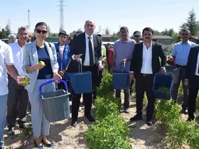 Karapınar’da "Doğayla El Ele Öğreniyorum, Üretiyorum, Paylaşıyorum" projesi meyvelerini veriyor
