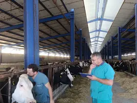 Karapınar’da hastalıktan ari işletmelerde tüberküloz taraması
