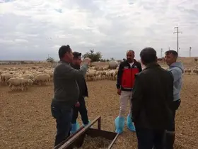 Karapınar'da Hayvancılık İşletmeleri Denetlendi