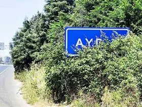Karayolu üzerindeki Aydın tabelası çalılar arasında kaldı
