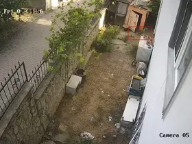 Karganın yumurta hırsızlığı kameraya yansıdı
