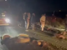 Kargo aracı koyun sürüsüne çarptı: Onlarca hayvan telef oldu
