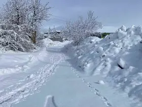 Karlıova’da kar yağışı etkisini sürdürüyor
