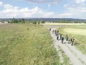 Kars ve Ardahan’da 52 bin hektarlık alanda arazi toplulaştırma incelemesi
