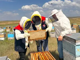 Kars’ta arılı kovanlar mercek altında: Üreticilere yerinde teknik destek
