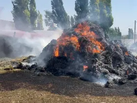 Kars’ta bin ot balyası kül oldu
