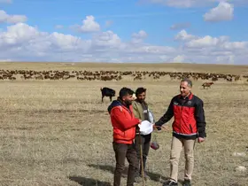 Kars’ta çobanlar sürülerinin başında alın teri döküyor
