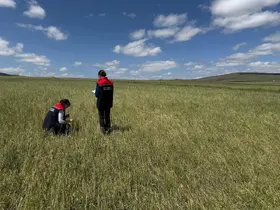 Kars’ta doğal afet sonrası seferberlik: Tarım ekipleri hasar tespiti için sahada
