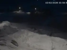 Kars’ta kurtlar köylerde cirit atıyor
