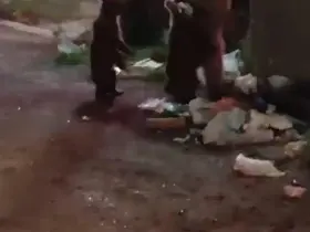 Kars’ta vatandaş ayılara türkü söyledi, o anlar sosyal medyayı salladı
