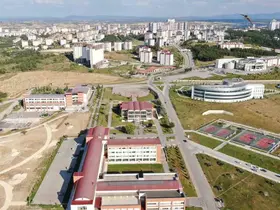 Kastamonu Üniversitesi, bezelye kabuklarından biyokömür üretecek
