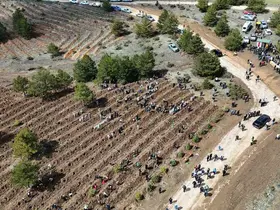 Kastamonu’da 210 bin fidan toprakla buluşturulacak
