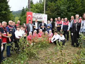 Kastamonu’da aronya hasadı başladı
