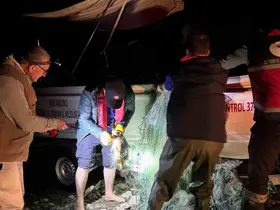 Kastamonu’da barajdan 2 bin 500 metre ağ çıktı, kurtarılan 225 sazan gölete bırakıldı
