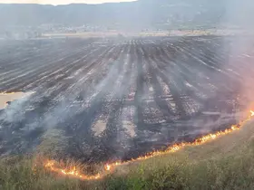 Kastamonu’da çıkan örtü yangınında 400 dönüm alan zarar gördü
