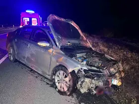 Kastamonu’da otomobil domuz sürüsüne çarptı: 2 yaralı
