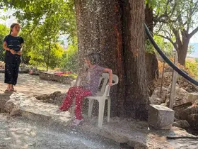 Kavurucu sıcağa karşı çözümü ağaçtan sarkıttığı hortumdan akan suda buldu

