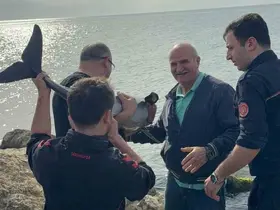 Kayalıklara sıkışan yunusu polis memuru kurtardı
