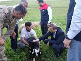 Kaymakam Baycar, göçer üreticilerin sorunlarını yerinde dinledi
