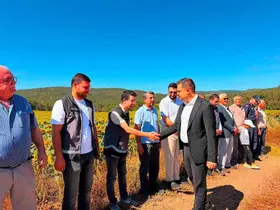 Kaymakam Titiz hasat sevincine ortak oldu
