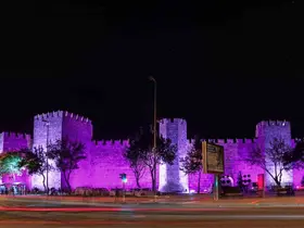 Kayseri Kalesi, kanserle mücadele için mor renge büründü
