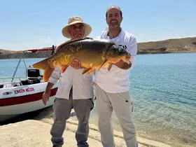 Keban Baraj Gölü’nde 27 kiloluk dev sazan yakalandı

