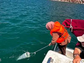 Keban Baraj Gölü’nde su kalitesi düzenli olarak izleniyor
