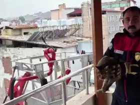 Kedi kurtarma operasyonuyla gönülleri fetheden itfaiye ekibine alkışlı teşekkür
