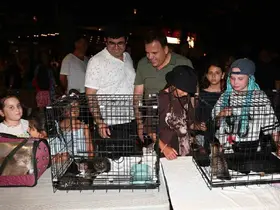 Kemer Belediyesi’nde "Can dostları" için konser
