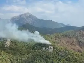Kemer’de orman yangını
