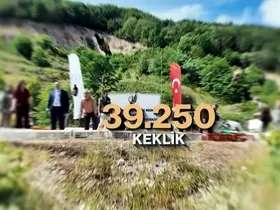 Kene ve kahverengi kokarcaya karşı doğal mücadele: 51 bin keklik ve sülün salınacak
