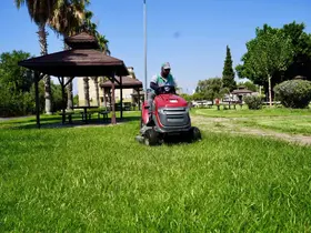 Kepez’in yeşil dokusu korunuyor

