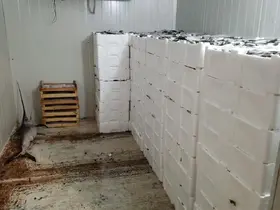 Kilolarca balığa el konuldu
